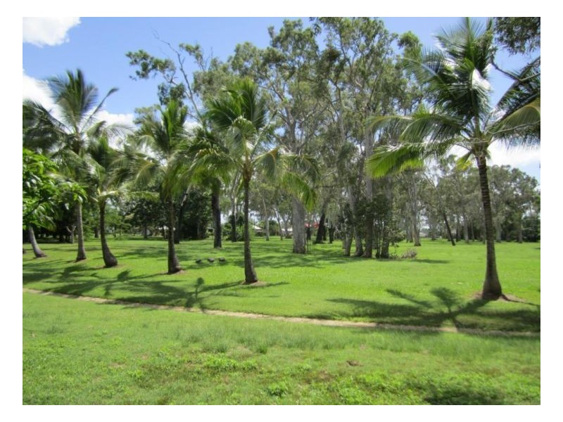 13 MCLEOD STREET, Midge Point QLD 4799