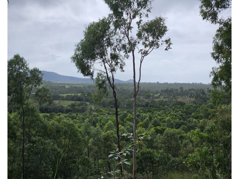 394 LINDEMAN DRIVE, Bloomsbury QLD 4799