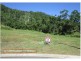 LOTS 5,7, 8,9,10,11,12,13,14,15,19 RIDGEHAVEN ESTATE, Cannonvale QLD 4802