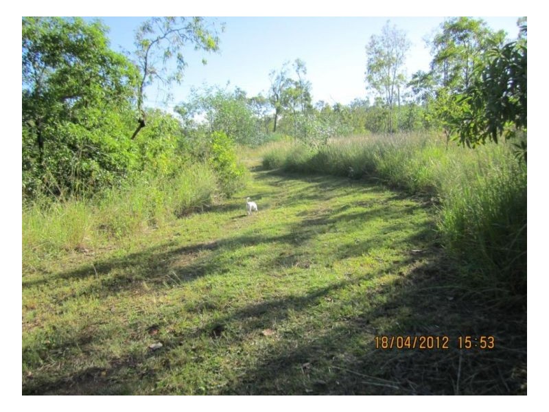 Lot 15 LELONA Drive, Bloomsbury QLD 4799