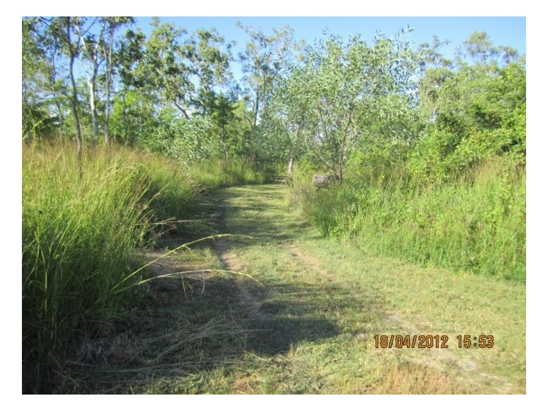 Lot 15 LELONA Drive, Bloomsbury QLD 4799