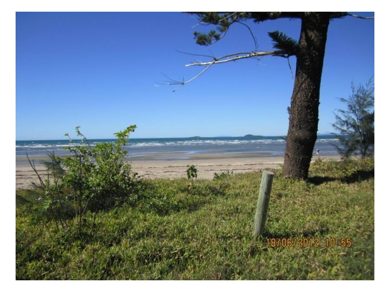 33 Nielsen Pde, Midge Point QLD 4799