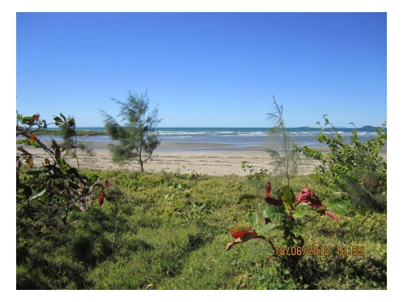 33 Nielsen Pde, Midge Point QLD 4799