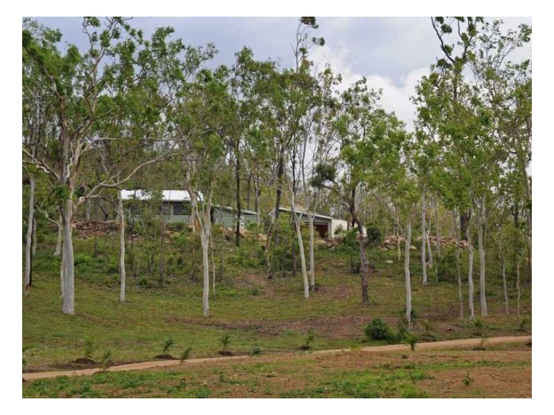 Lot 11 Lelona Drive, Bloomsbury QLD 4799