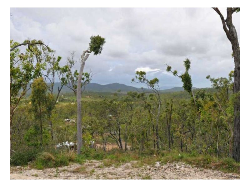 Lot 11 Lelona Drive, Bloomsbury QLD 4799