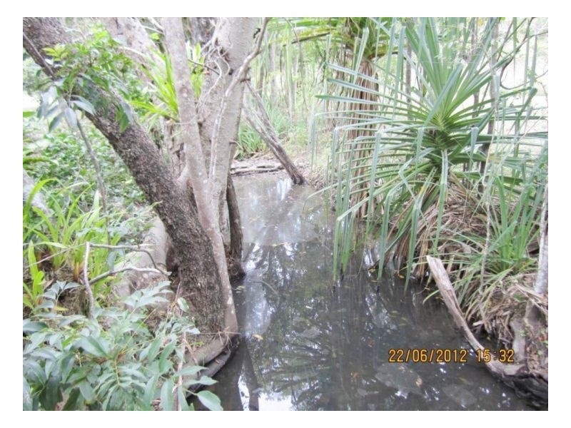 360 Midge Point Road, Bloomsbury QLD 4799