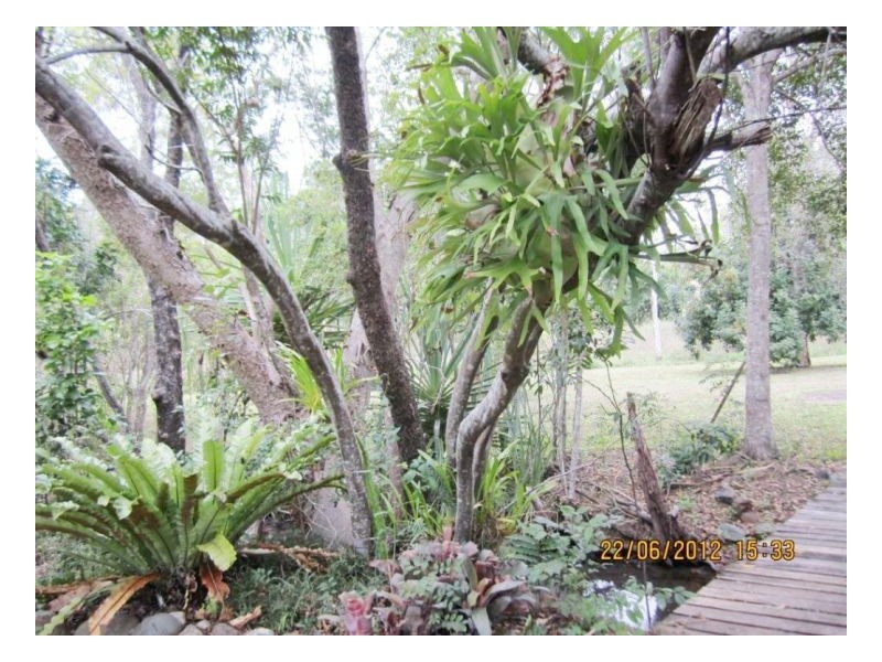 360 Midge Point Road, Bloomsbury QLD 4799