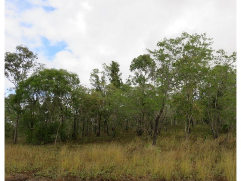 LOT 10 LELONA DRIVE, Bloomsbury QLD 4799