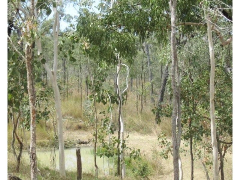 LOT 78 LINDEMAN DRIVE, Bloomsbury QLD 4799