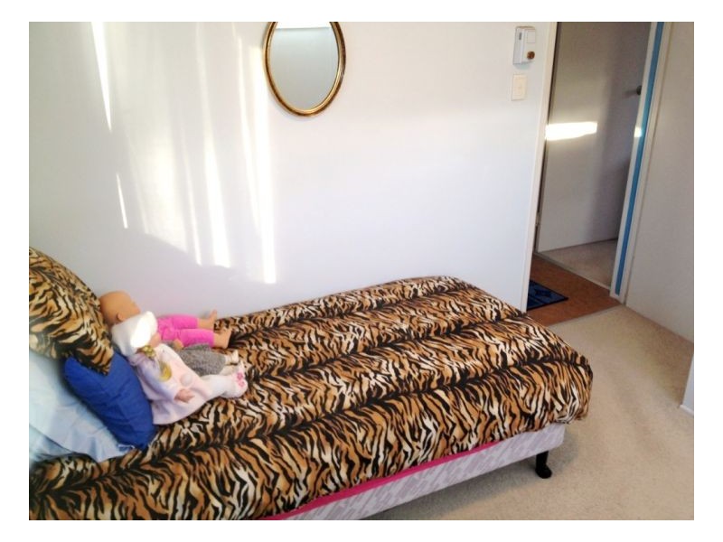 1377 Midge Point Rd, Midge Point QLD 4799