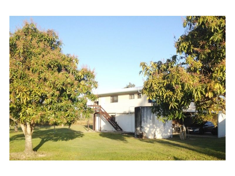 1377 Midge Point Rd, Midge Point QLD 4799