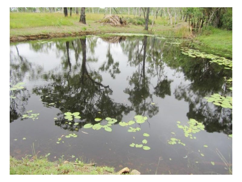 7 Patterson Street, Midge Point QLD 4799