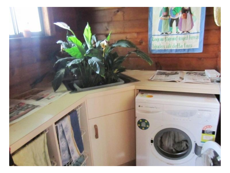 7 Patterson Street, Midge Point QLD 4799