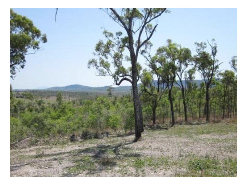 Lot 74 Lindeman Drive, Bloomsbury QLD 4799