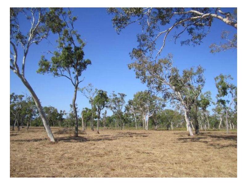 Proposed Lot 2 Conder Parade, Midge Point QLD 4799