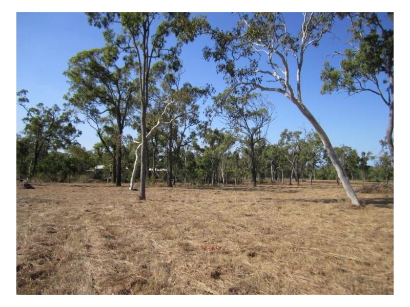 Proposed Lot 2 Conder Parade, Midge Point QLD 4799