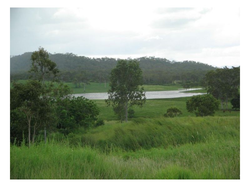 Lot 175 Lindeman Drive, Bloomsbury QLD 4799