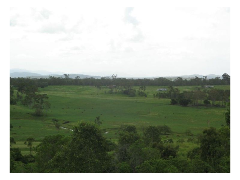 Lot 175 Lindeman Drive, Bloomsbury QLD 4799