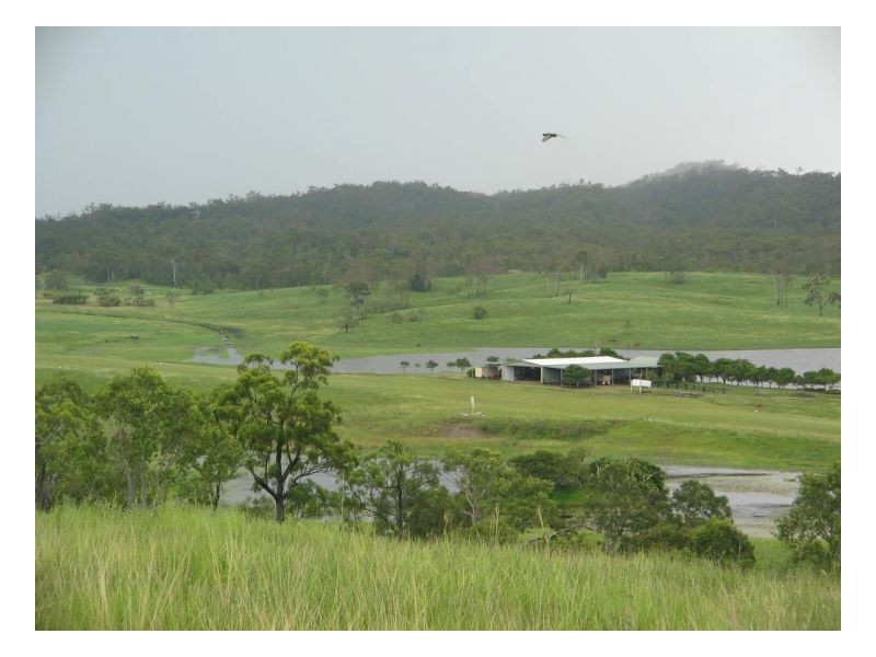 Lot 175 Lindeman Drive, Bloomsbury QLD 4799