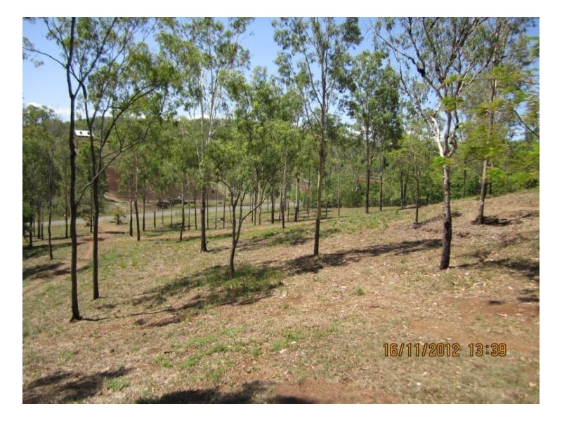 Lot 97 Midge Point Road, Bloomsbury QLD 4799