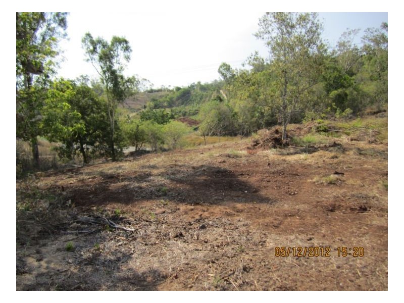 Lot 95 Midge Point Rd, Bloomsbury QLD 4799