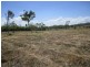Lot 66 Lindeman Drive, Bloomsbury QLD 4799