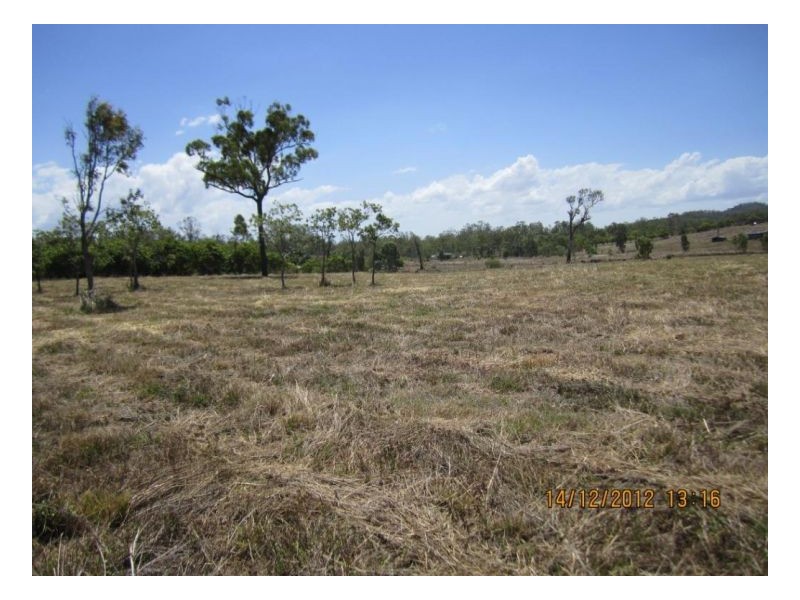 Lot 66 Lindeman Drive, Bloomsbury QLD 4799
