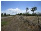 Lot 66 Lindeman Drive, Bloomsbury QLD 4799