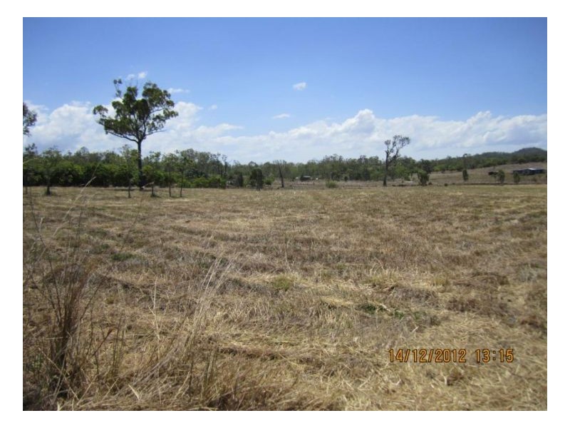 Lot 66 Lindeman Drive, Bloomsbury QLD 4799