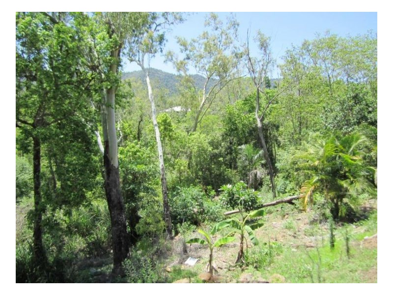 48 Buttermans Road, Riordanvale QLD 4800