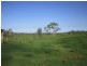 514 Midge Point Rd, Bloomsbury QLD 4799