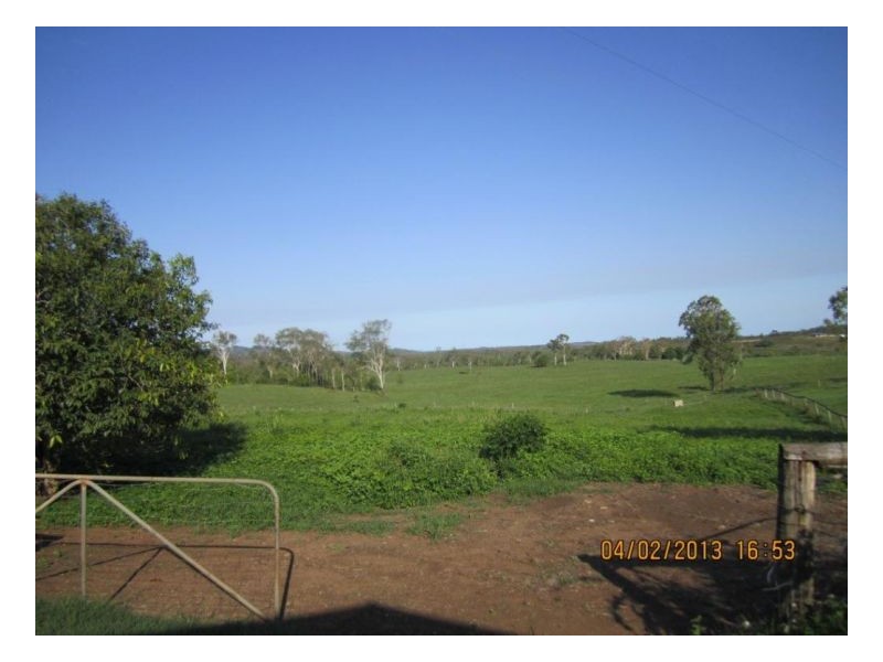 514 Midge Point Rd, Bloomsbury QLD 4799