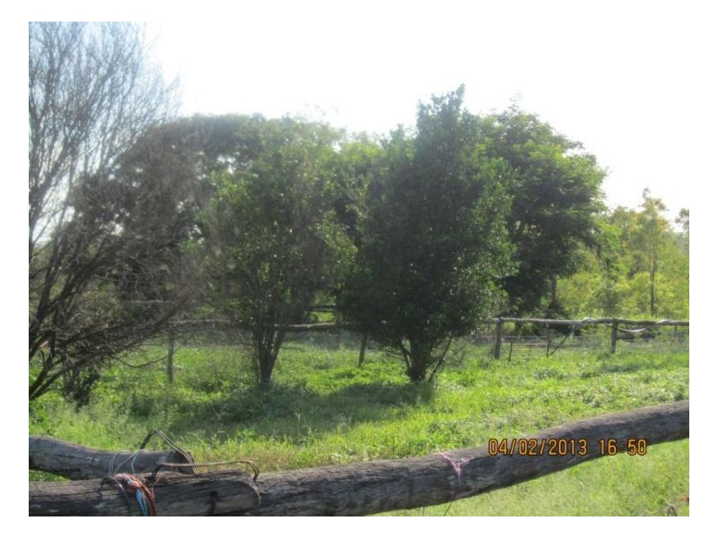 514 Midge Point Rd, Bloomsbury QLD 4799