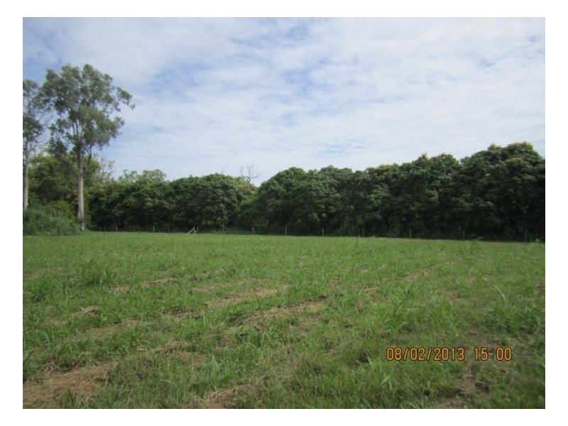Lot 10 Bundesen Ave, Midge Point QLD 4799