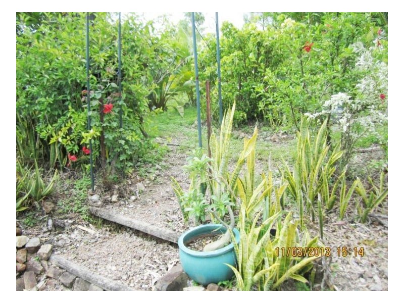 28 Carlisle Crescent, Bloomsbury QLD 4799