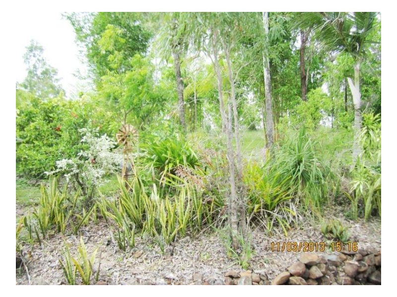 28 Carlisle Crescent, Bloomsbury QLD 4799