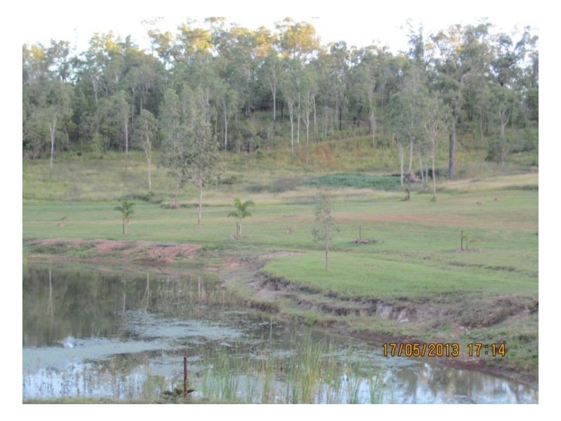 Lot 7 Lelona Dr, Bloomsbury QLD 4799