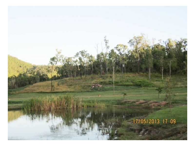 Lot 7 Lelona Dr, Bloomsbury QLD 4799