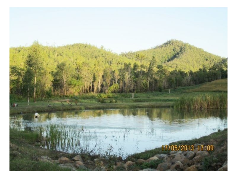 Lot 7 Lelona Dr, Bloomsbury QLD 4799