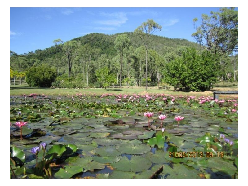 10 Lawson St, Midge Point QLD 4799