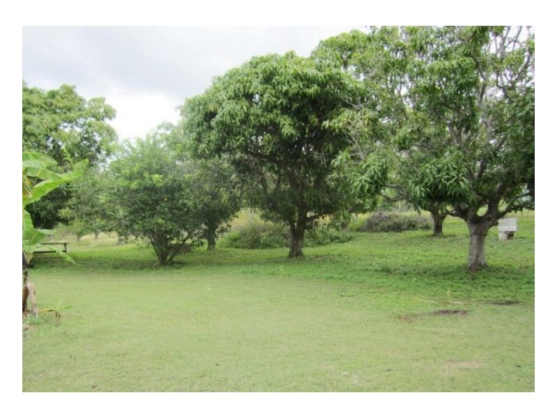 401 Midge Point Rd, Bloomsbury QLD 4799