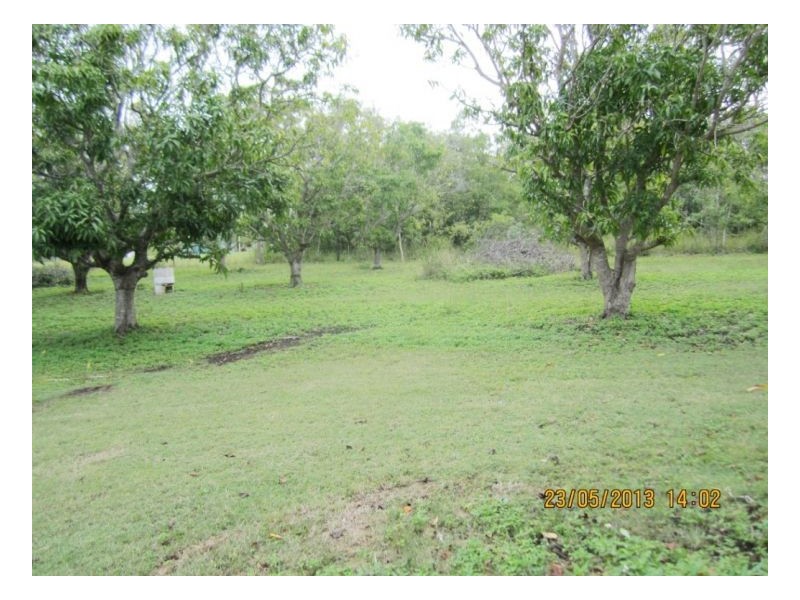 401 Midge Point Rd, Bloomsbury QLD 4799