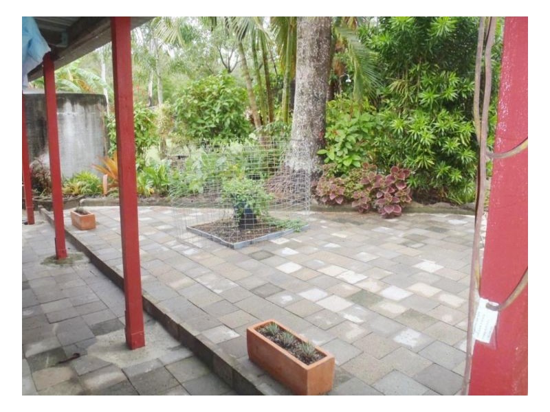 345 Midge Point Rd, Bloomsbury QLD 4799