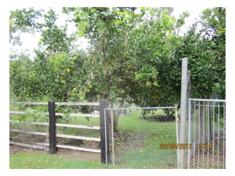 345 Midge Point Rd, Bloomsbury QLD 4799