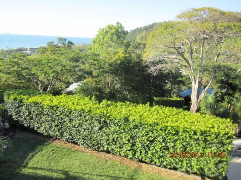18 Woodwark Crescent, Cannonvale QLD 4802