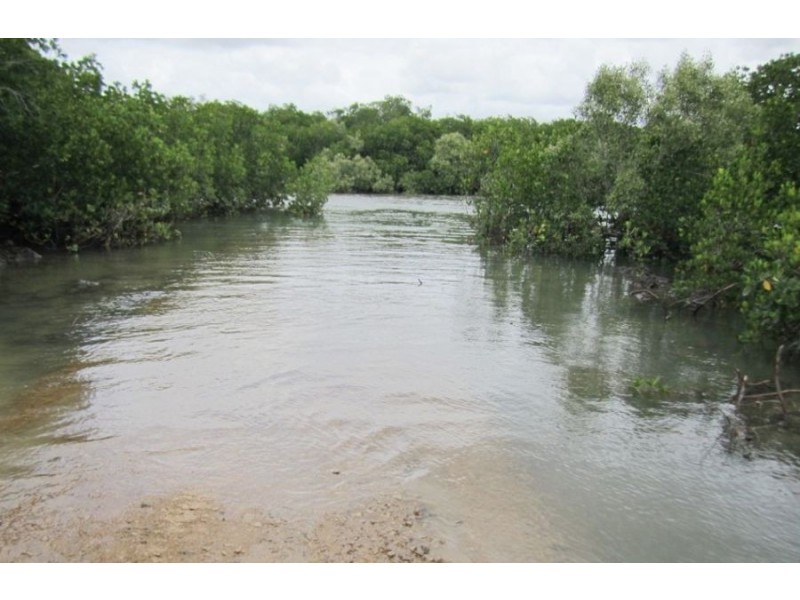 1220 MIDGE POINT ROAD, Midge Point QLD 4799