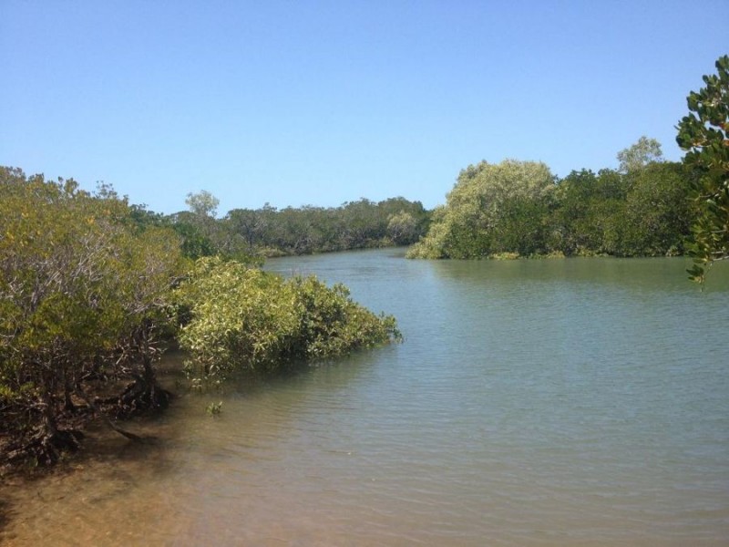 1220 MIDGE POINT ROAD, Midge Point QLD 4799