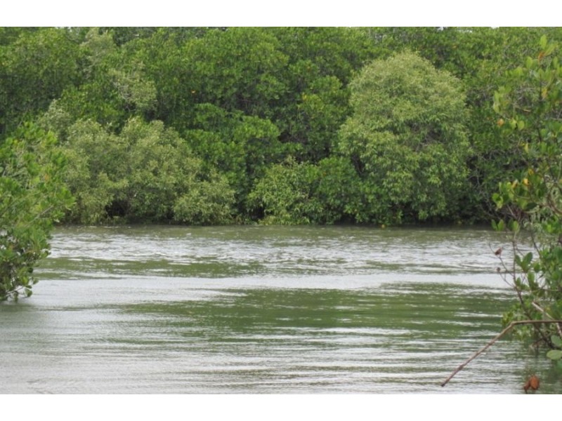 1220 MIDGE POINT ROAD, Midge Point QLD 4799