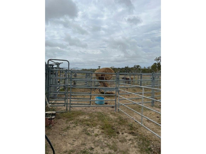 1220 MIDGE POINT ROAD, Midge Point QLD 4799