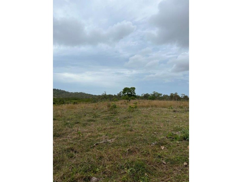 1220 MIDGE POINT ROAD, Midge Point QLD 4799